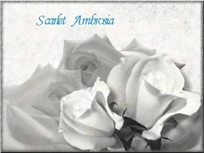 Poet: scarletambrosia